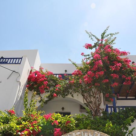 Nostos Studios Эгиалис Номер фото