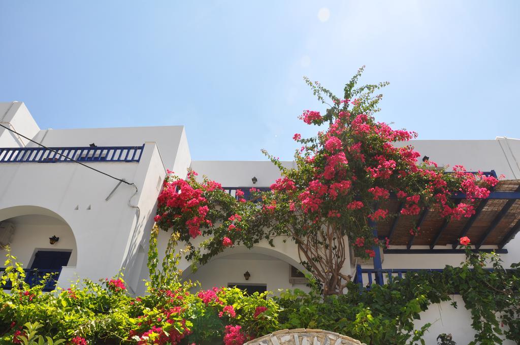 Nostos Studios Эгиалис Номер фото